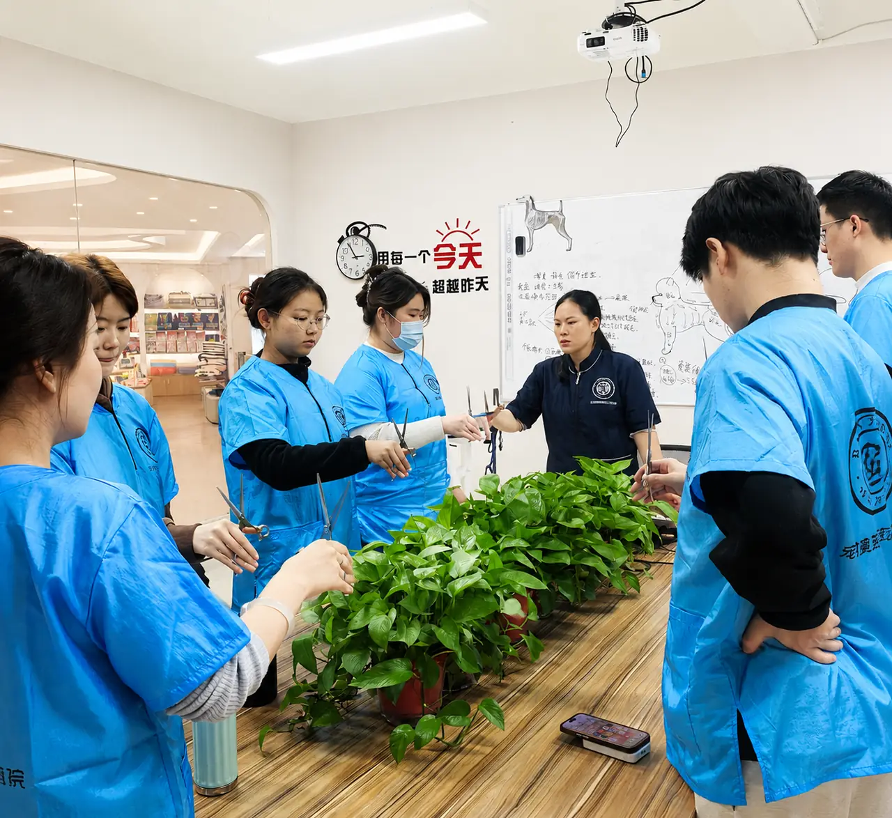 百宠汇老师指导学员进行剪刀基础手法训练