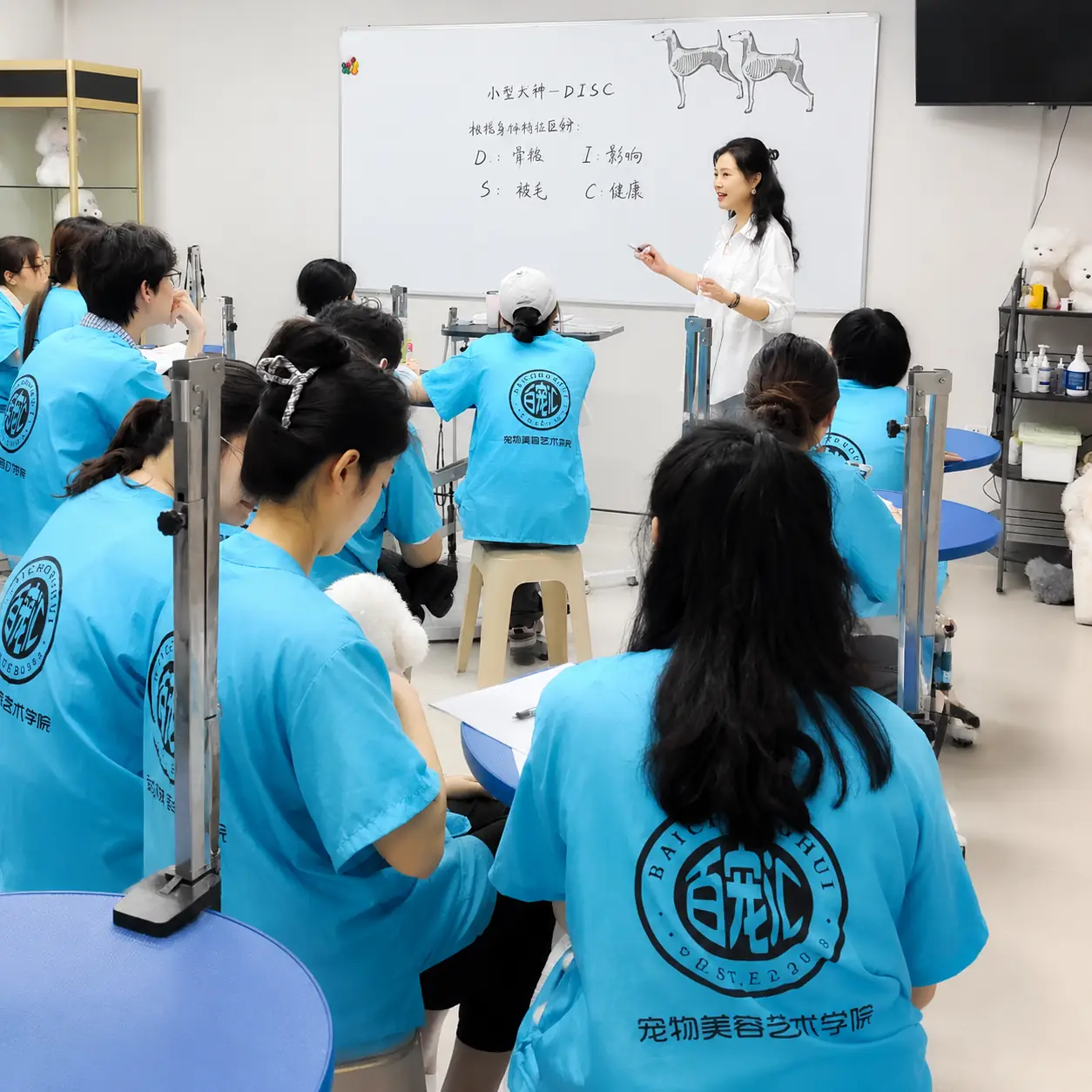 百宠汇老师为学员讲解犬种结构与宠物美容理论课程