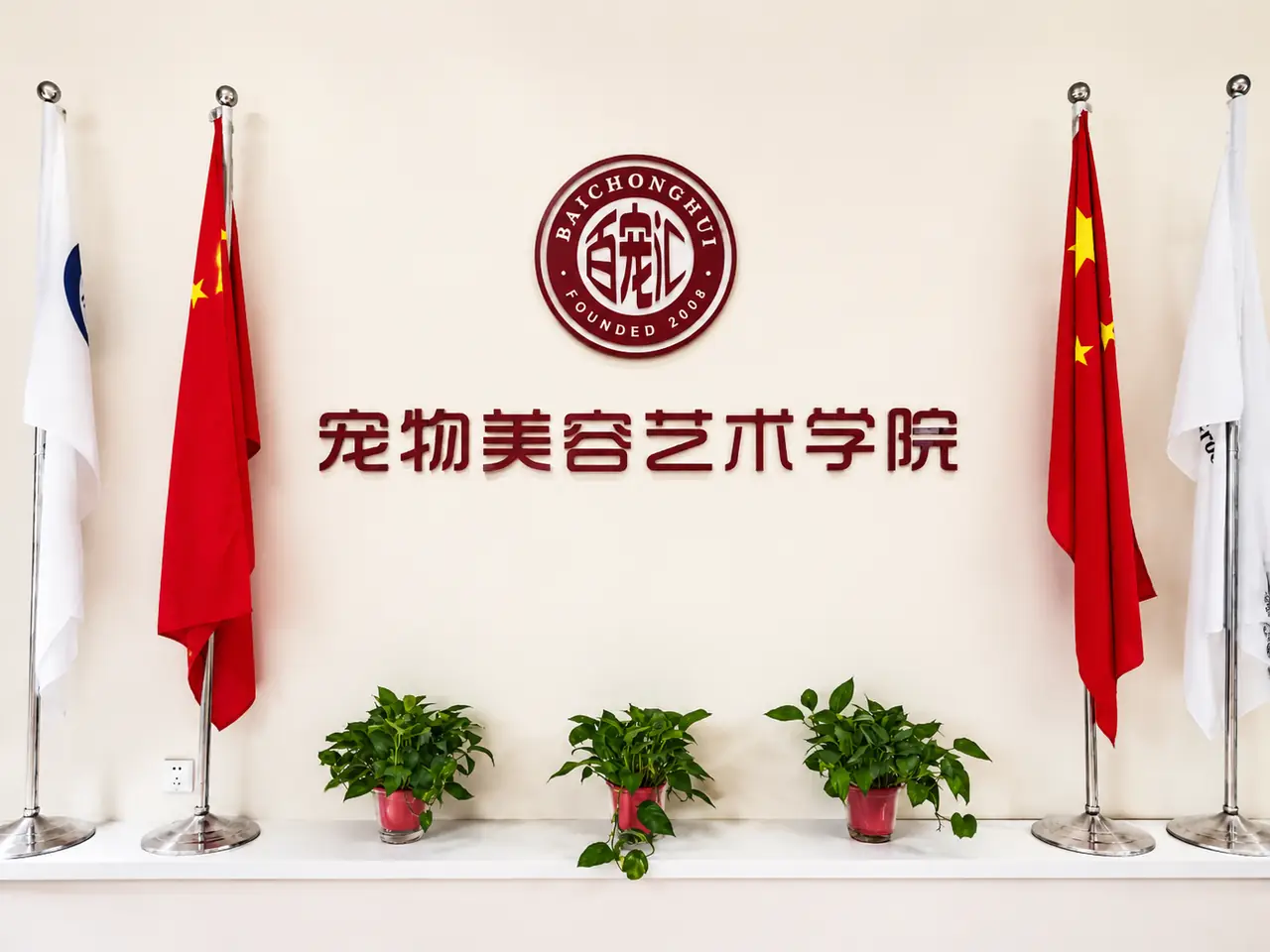 百宠汇宠物美容艺术中心形象墙